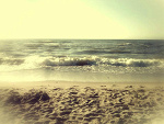Fotoblog xxxxaneszkaxxxx