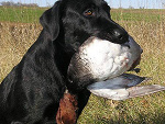 Fotoblog diana1605