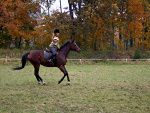 Fotoblog xxx4eversacredxxx