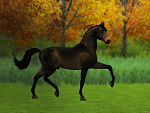 Wpis asmodeusstable