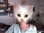 Fotoblog yollooxdd