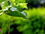 Fotoblog heroine001