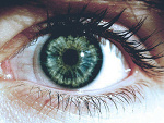 Fotoblog natalkalalka13