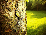 Fotoblog patt9797