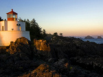 Fotoblog camomila
