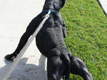 Fotoblog kicius4