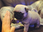 Fotoblog soocuteee
