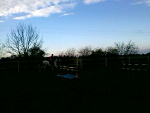 Fotoblog bemolcia