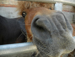 Fotoblog xjustchilloutx