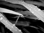 Fotoblog patina001