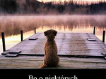 Fotoblog alonewithmylove
