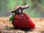 Fotoblog monickax33
