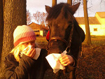 Fotoblog loveponiesforever
