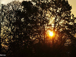Fotoblog rytmsercaiduszy