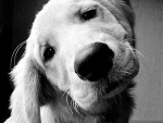 Fotoblog hoho2razyo