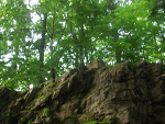 Fotoblog tomek1361g