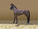 Fotoblog vecsims