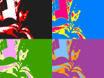 Fotoblog kociacze