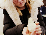 Fotoblog untoouched95