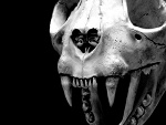 Fotoblog adelgrin