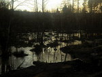 Fotoblog fragilemind