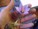 Fotoblog youeverlovedme