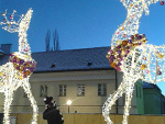 Fotoblog bouhell
