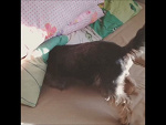 Fotoblog carmellxx