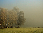 Fotoblog angeloflove