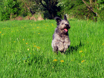 Fotoblog onlyyoubaby