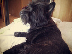 Fotoblog mrsgracee