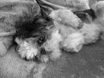 Fotoblog zelussss