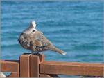 Fotoblog katty