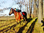 Fotoblog ewe25