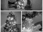 Fotoblog mentosyy