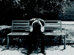 Fotoblog sasochan