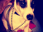 Fotoblog mocenergiaamfetaminaa
