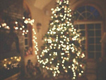 Fotoblog patrycjaaa512