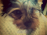 Fotoblog choocolaaate