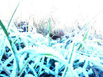 Fotoblog nunia12