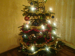 Fotoblog marzennnia