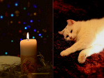 Fotoblog missmuder