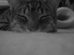 Fotoblog j4kr2y5i3k