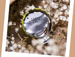 Fotoblog tymbarkoowezycie