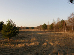 Fotoblog damazyn
