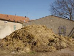 Fotoblog hejterzmiastasosnowicy