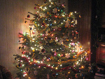 Fotoblog martusia667
