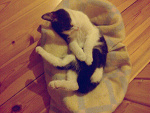 Fotoblog ghiak