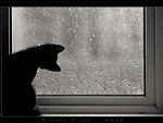Fotoblog fuuckitland