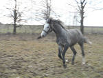 Fotoblog marrrys
